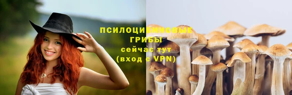 наркотики Вяземский
