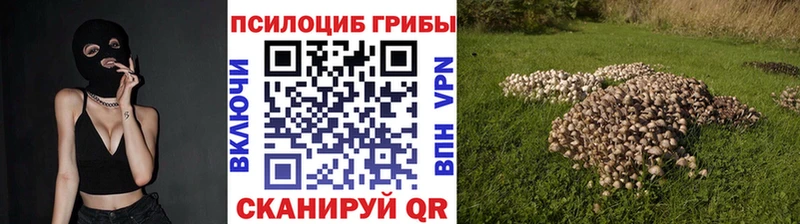 Галлюциногенные грибы прущие грибы  где продают наркотики  Ростов-на-Дону 